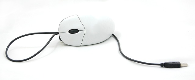 mouse with cord