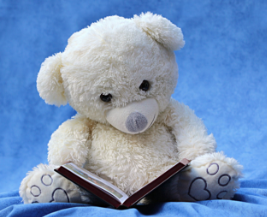 White Teddy Bear Reading