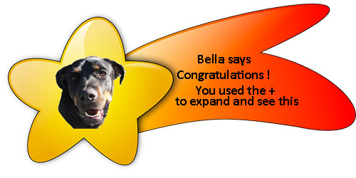 Bella, rottweiler dog says Congratulations in a banner