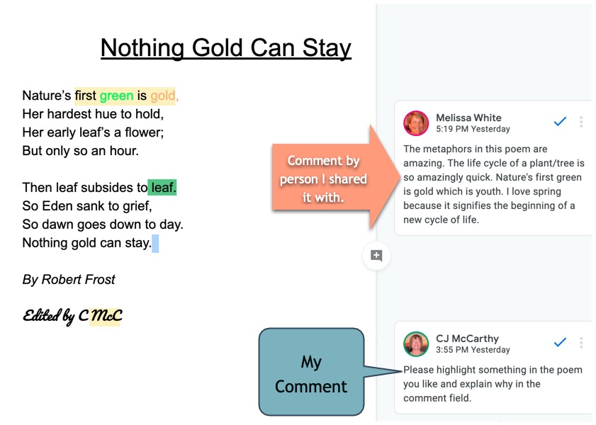 Screenshot of an example of comments in a Google doc