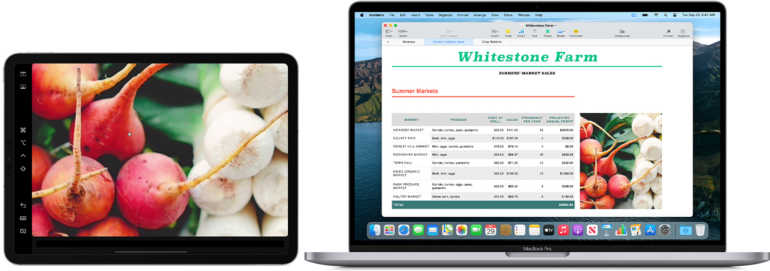 image of iPad and Mac featuring sidecar which allows iPad and mac to share screens